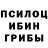 Псилоцибиновые грибы Psilocybe Yerbol Zhexenbay