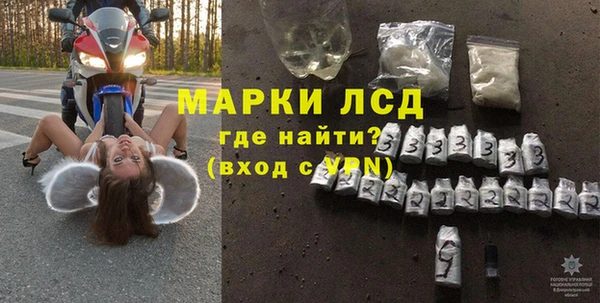 прущие грибы Заволжье