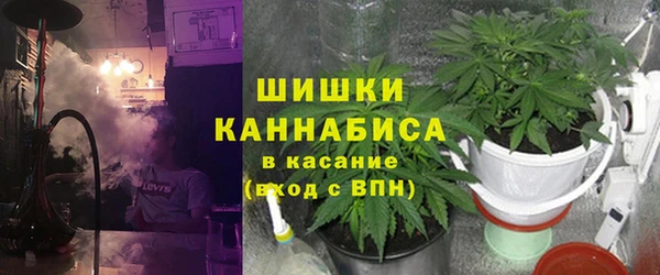 прущие грибы Заволжье
