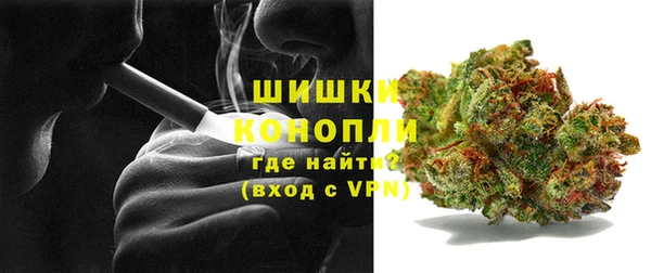прущие грибы Заволжье