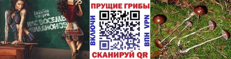 Псилоцибиновые грибы прущие грибы Северобайкальск