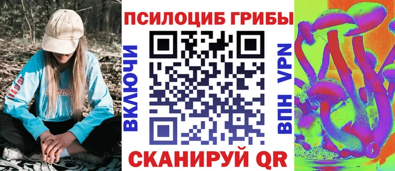Купить  Северобайкальск  Галлюциногенные грибы Psilocybe 