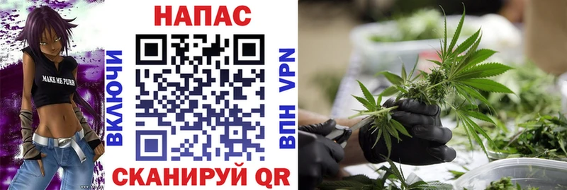 Купить где  Северобайкальск  МАРИХУАНА сатива 